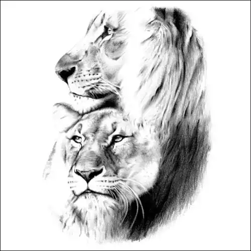 Pencil Portrait of Two Lion's Heads